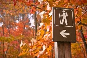 Image of hiking trail sign and autumn trees and leaves nearby Myers Park Dental Partners.